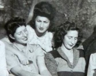 History of the Perl Family