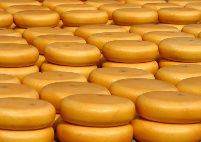Rumiano Cheese Company Goes ‘Non-GMO’ |Article